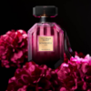 Victoria's Secret Bombshell OUD 炸彈烏木女性淡香精50ml
